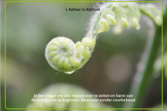 kaart-01