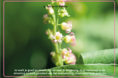 kaart-03