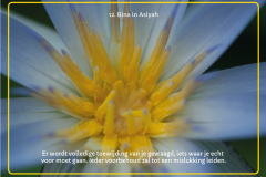 kaart-12-1