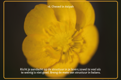 kaart-16-1