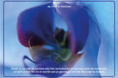 kaart-29-1