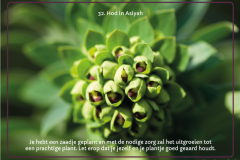 kaart-32-1