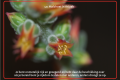 kaart-40-1
