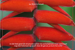 kaart-44-1