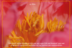 kaart-47-1