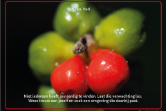 kaart-60-1