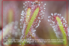 kaart-62-1