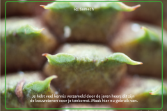 kaart-63-1