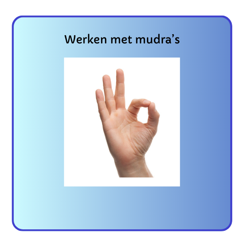 Online training Werken met Mudra's